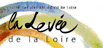 Logo Levée de la Loire